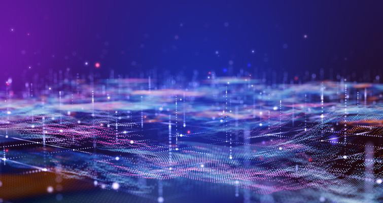 Network & Connectivity