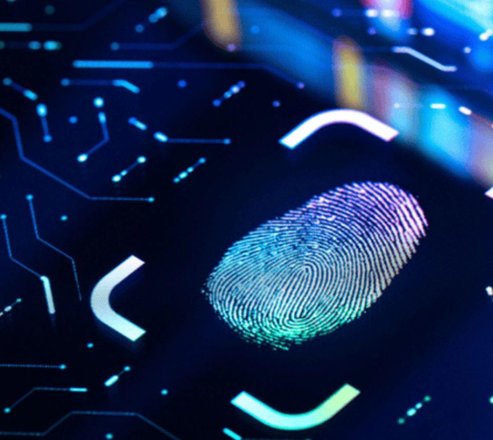 Cyber Support Your Business Can Rely On